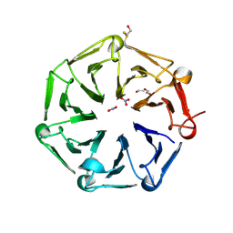 BU of 6xzm by Molmil