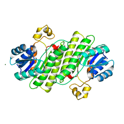 BU of 6y1b by Molmil