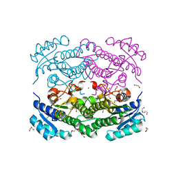 BU of 6y1c by Molmil