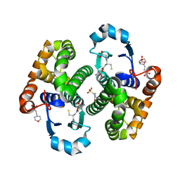 BU of 6y1e by Molmil