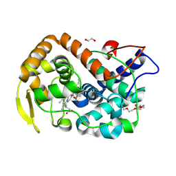 BU of 6y1t by Molmil