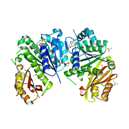 BU of 6y1v by Molmil