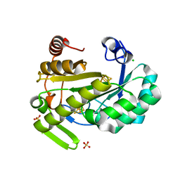 BU of 6y1x by Molmil