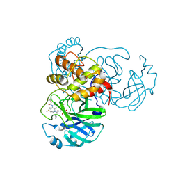 BU of 6y2f by Molmil