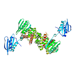 BU of 6y2s by Molmil