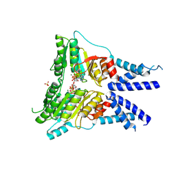 BU of 6y32 by Molmil