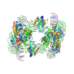 BU of 6y5d by Molmil