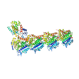 BU of 6y6d by Molmil