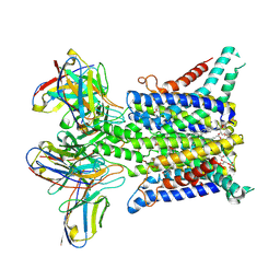 BU of 6y9b by Molmil