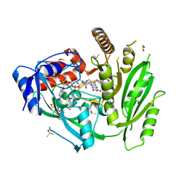 BU of 6yap by Molmil