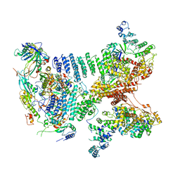 BU of 6ybd by Molmil