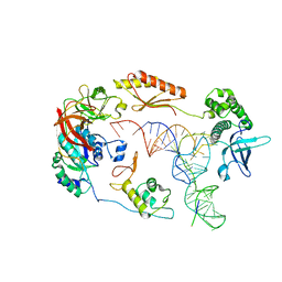 BU of 6ybv by Molmil