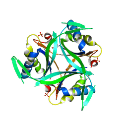 BU of 6yc6 by Molmil