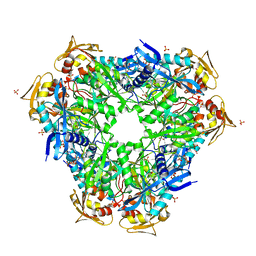 BU of 6yca by Molmil