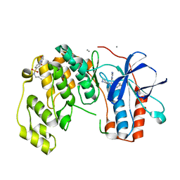 BU of 6ycu by Molmil