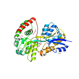 BU of 6yed by Molmil