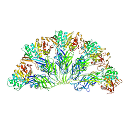 BU of 6yg8 by Molmil