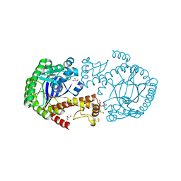 BU of 6ygv by Molmil