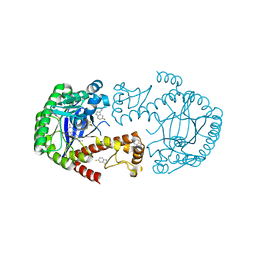 BU of 6yh1 by Molmil