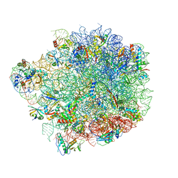 BU of 6yhs by Molmil