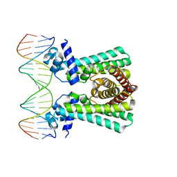 BU of 6yl2 by Molmil