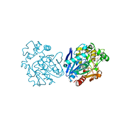 BU of 6yl4 by Molmil