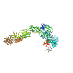 BU of 6ylf by Molmil