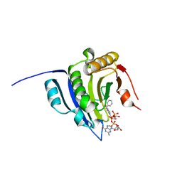 BU of 6ylr by Molmil