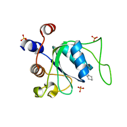 AU of 6ym7 by Molmil