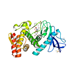 BU of 6yms by Molmil