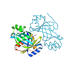 BU of 6yp4 by Molmil