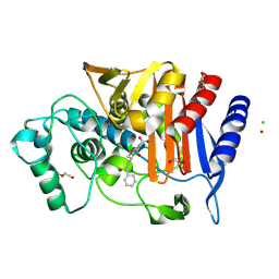 BU of 6ypd by Molmil