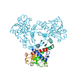 BU of 6ypo by Molmil