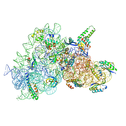 BU of 6ypu by Molmil