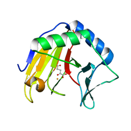 BU of 6ypv by Molmil