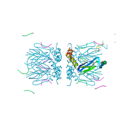 BU of 6yrb by Molmil