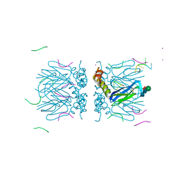 BU of 6yrb by Molmil