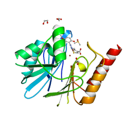 BU of 6yrp by Molmil