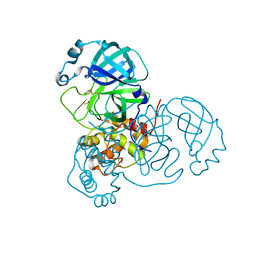 AU of 6yt8 by Molmil