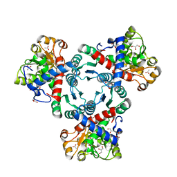 BU of 6yvb by Molmil