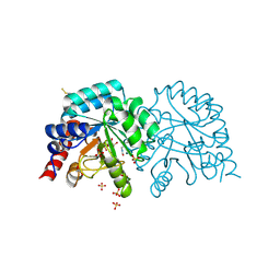 BU of 6yvm by Molmil