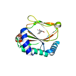 BU of 6yvt by Molmil