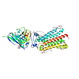 BU of 6yxg by Molmil