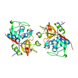 BU of 6yyp by Molmil