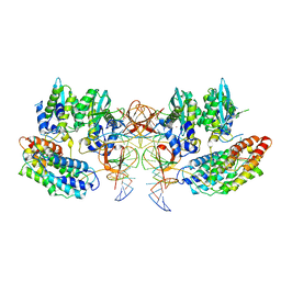 AU of 6z2y by Molmil