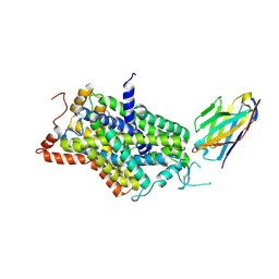 BU of 6zbv by Molmil