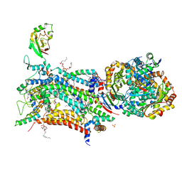 BU of 6zfs by Molmil