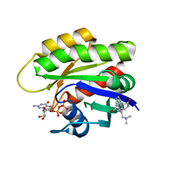 BU of 6zl3 by Molmil