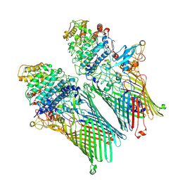 BU of 6zm1 by Molmil