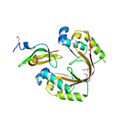 BU of 6zn8 by Molmil